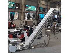 Common Failures and Causes of Chain Conveyor